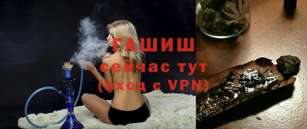 apvp Ельня