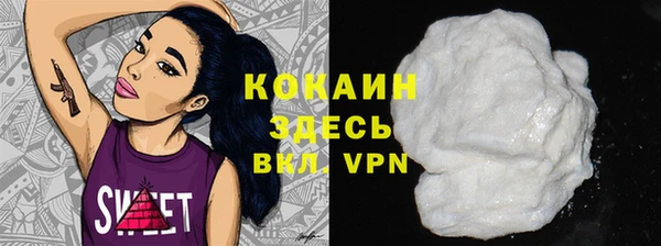 apvp Ельня