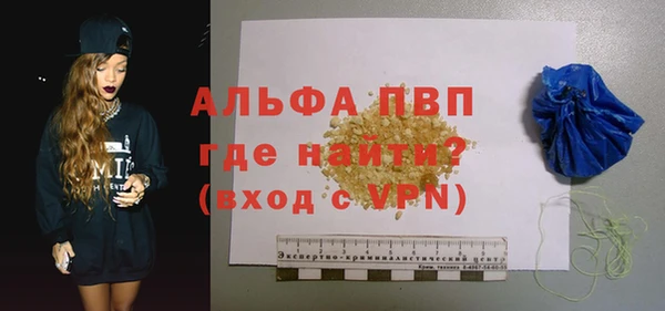 apvp Ельня