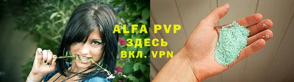 ПСИЛОЦИБИНОВЫЕ ГРИБЫ Дмитров