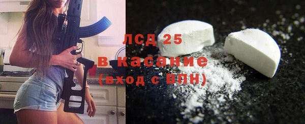 ПСИЛОЦИБИНОВЫЕ ГРИБЫ Дмитров
