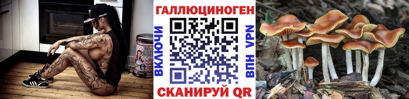 ссылка на мегу ONION  дарнет шоп  Канаш  Галлюциногенные грибы мицелий 