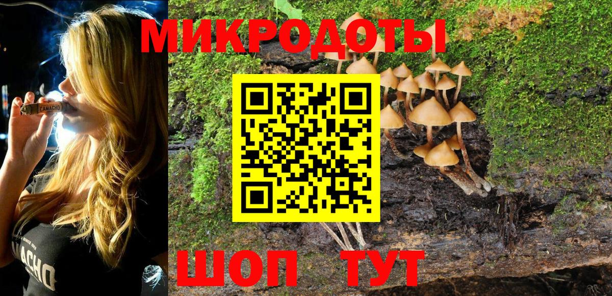 Галлюциногенные грибы Cubensis Канаш