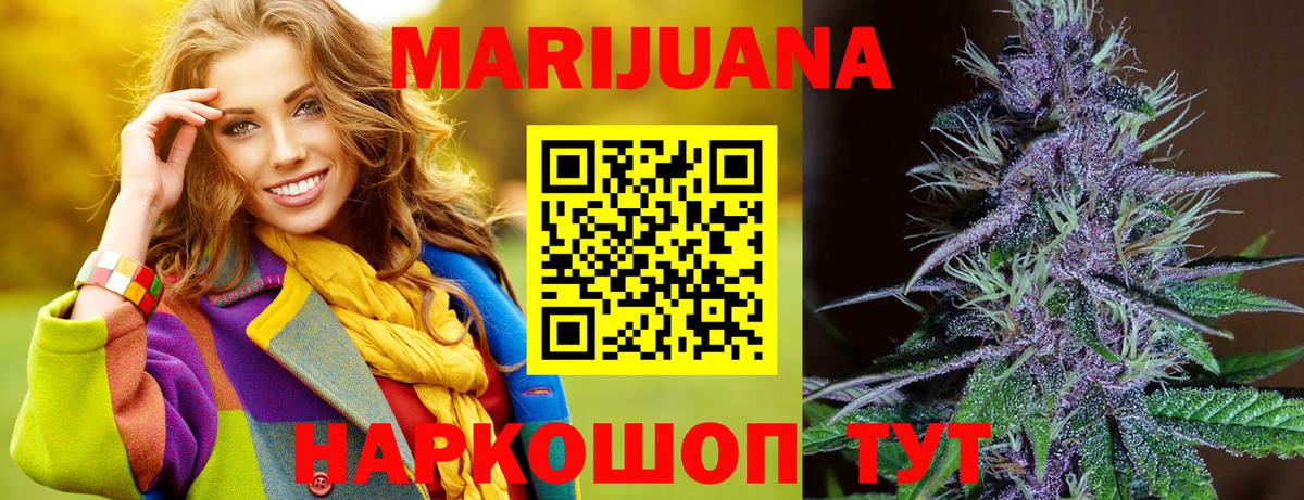 Шишки марихуана тримм  МАРИХУАНА Bruce Banner  Вход с VPN  Конопля планчик  Канаш  Шишки марихуана семена 